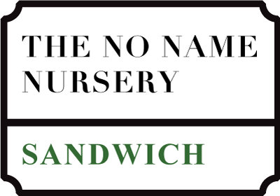 The No Name Nursery - Sandwich.