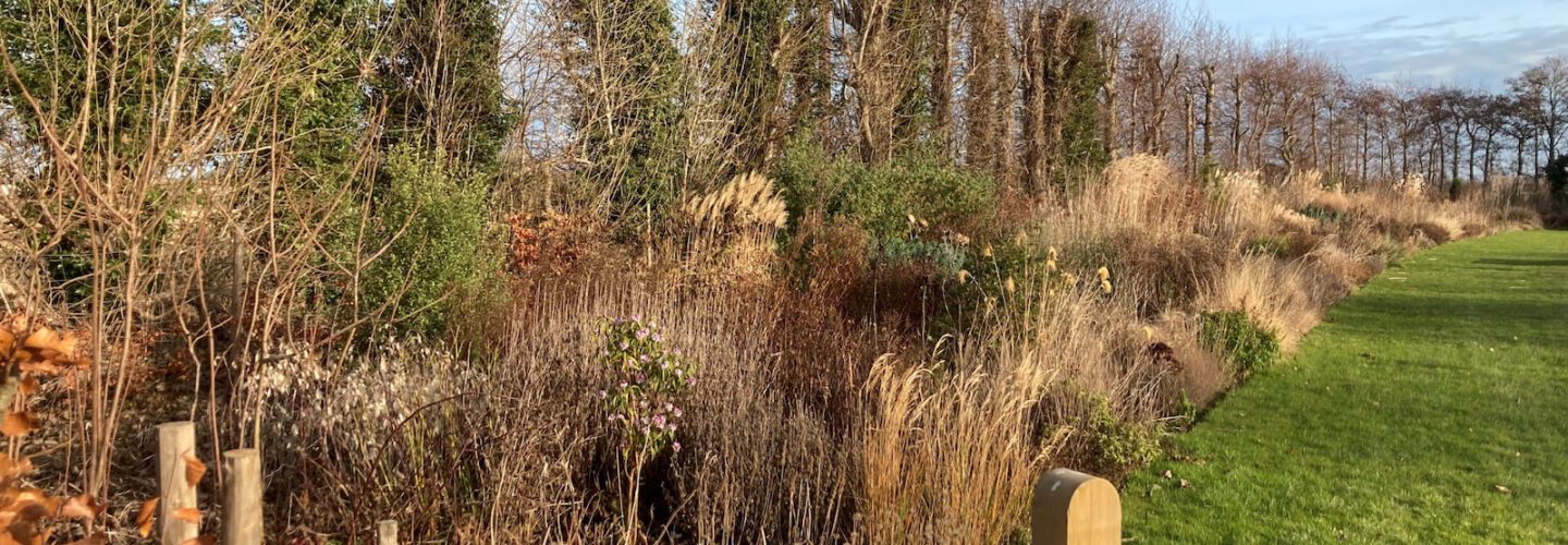 The Long Border at No Name Nursery.